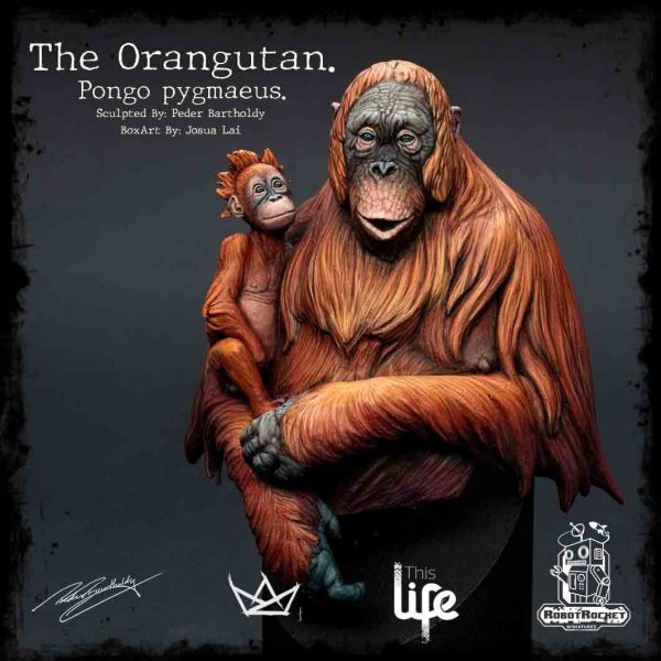 Orangutan Box Sticker